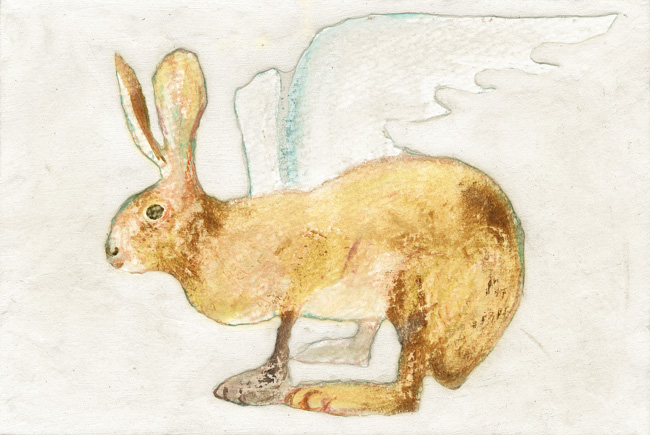 hane 54:  Kato Yumeko